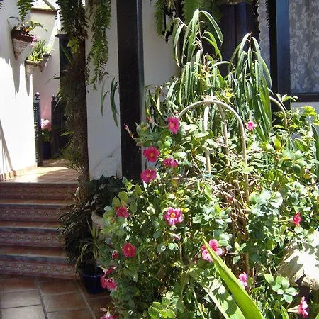 דירה Apartamentos-monasterio-de-san-antonio-rustikales-apartment-mit-kleiner-terrasse-im-innenhof איקוד דה לוס וינוס